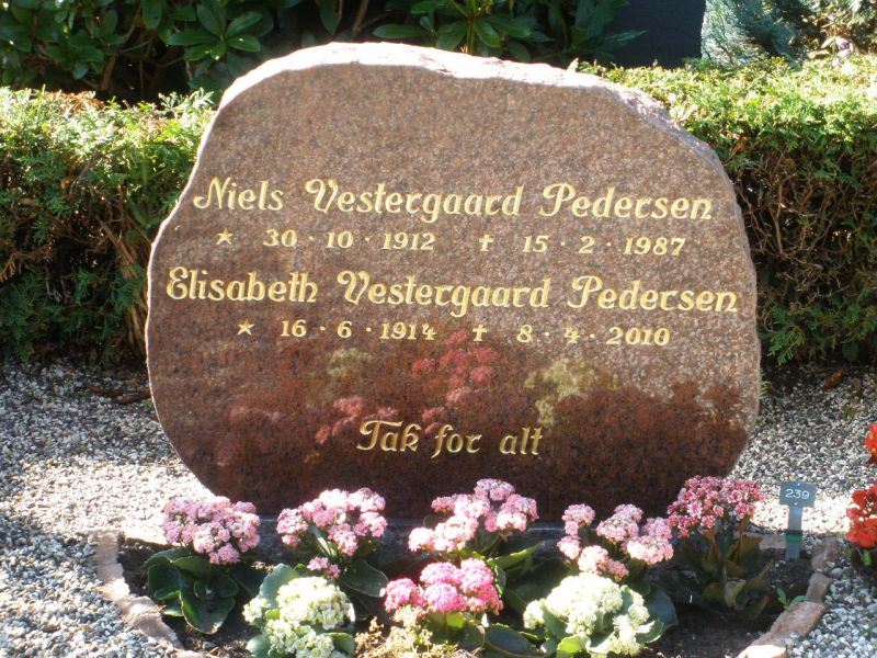 Niels Vestergaard Pedersen.JPG